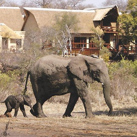 Elephant Plains Game Lodge Sabi Sands viltreservat Exteriör bild