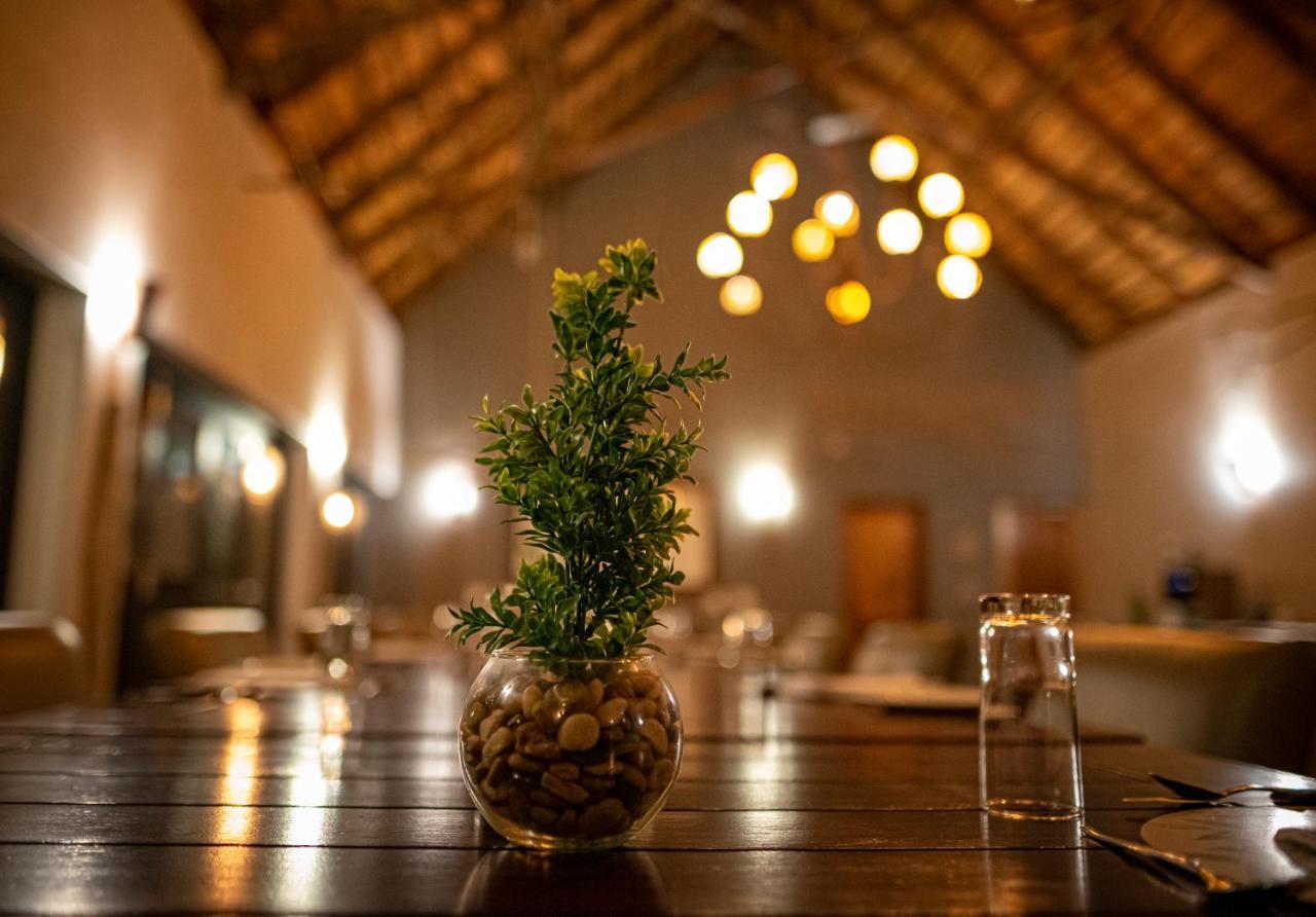 Elephant Plains Game Lodge Sabi Sands viltreservat Exteriör bild