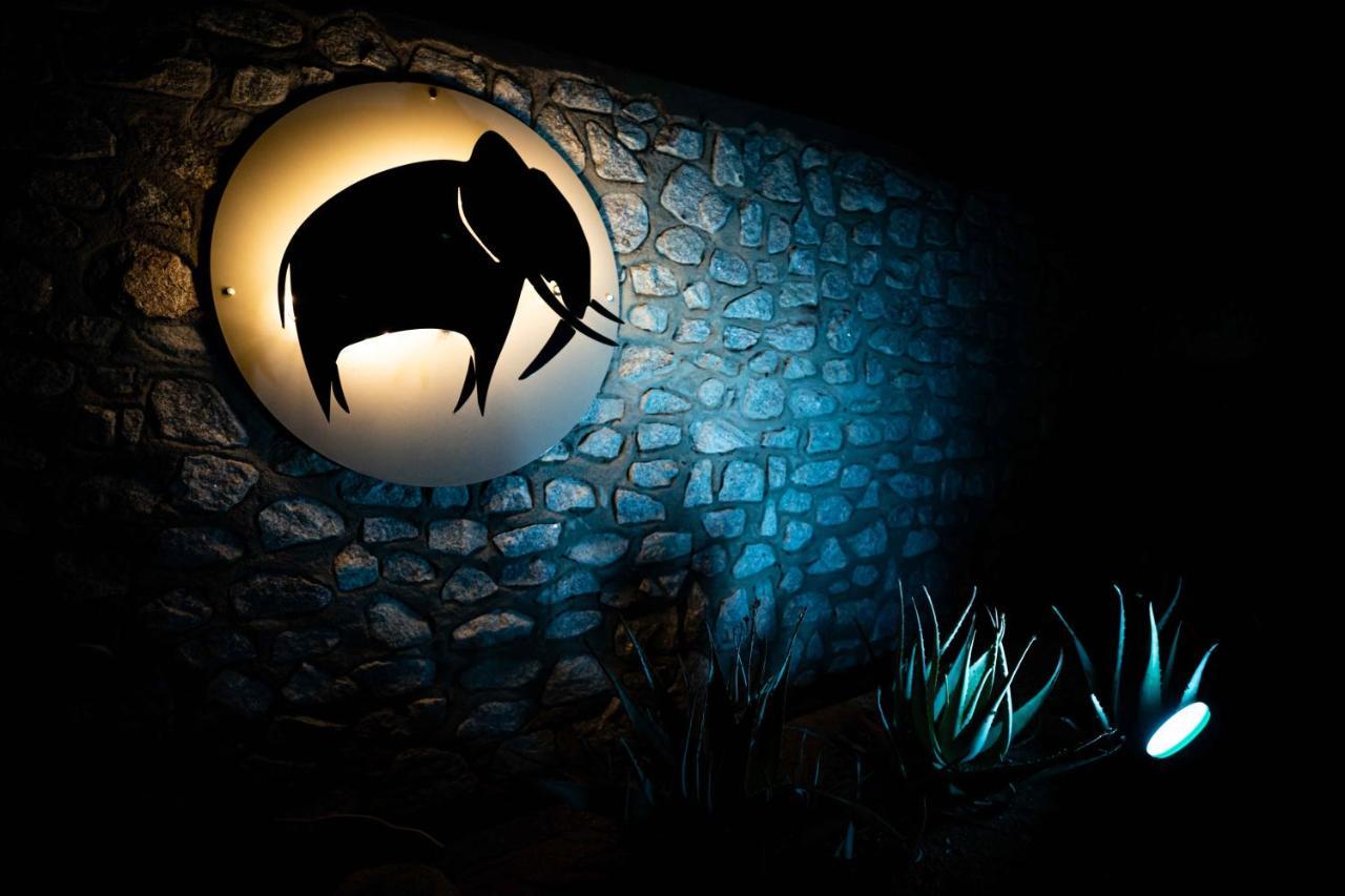 Elephant Plains Game Lodge Sabi Sands viltreservat Exteriör bild