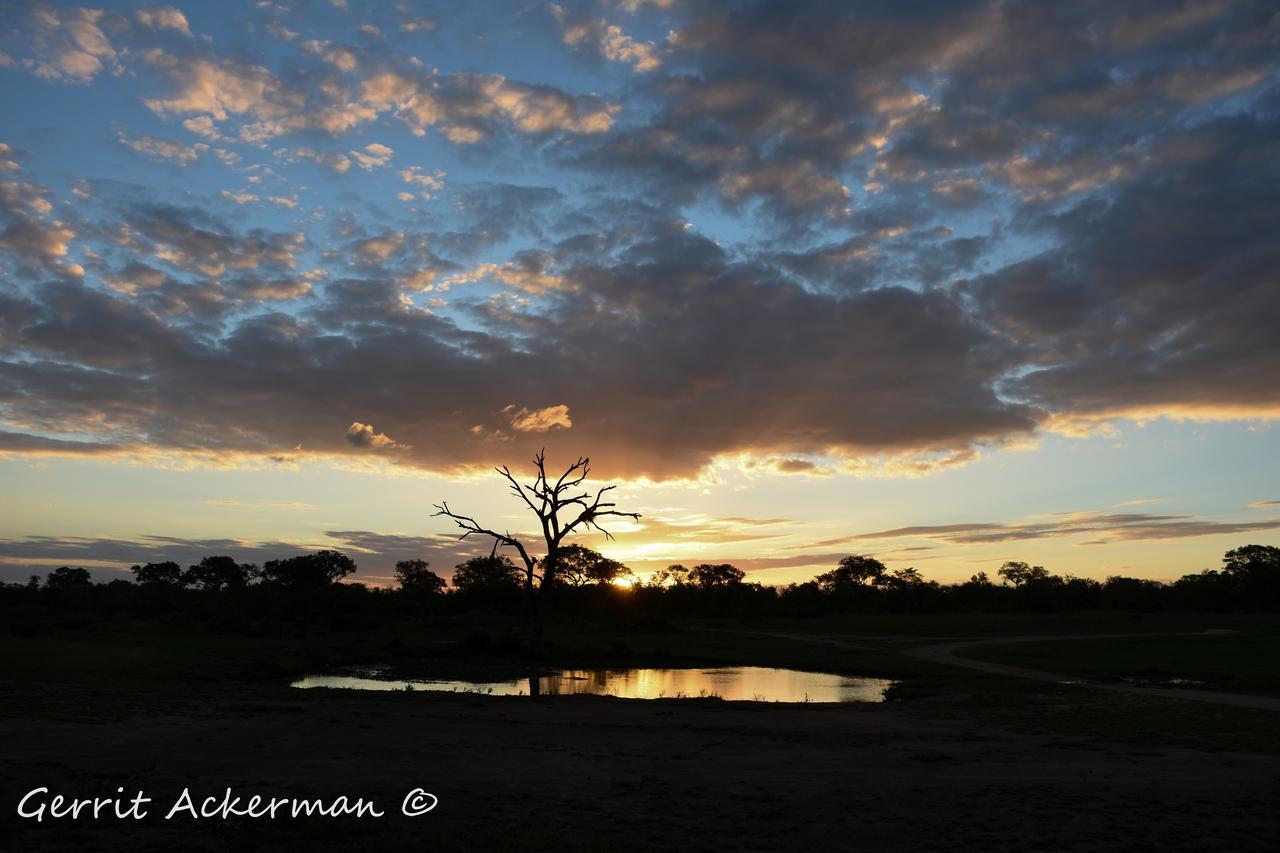 Elephant Plains Game Lodge Sabi Sands viltreservat Exteriör bild
